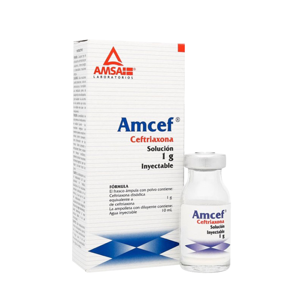 Amcef Solución Inyectable 1 g Frasco Ámpula De 3.5 mL
